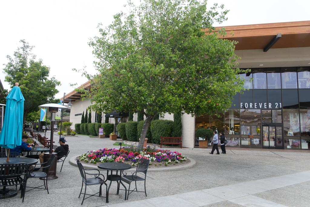 del monte